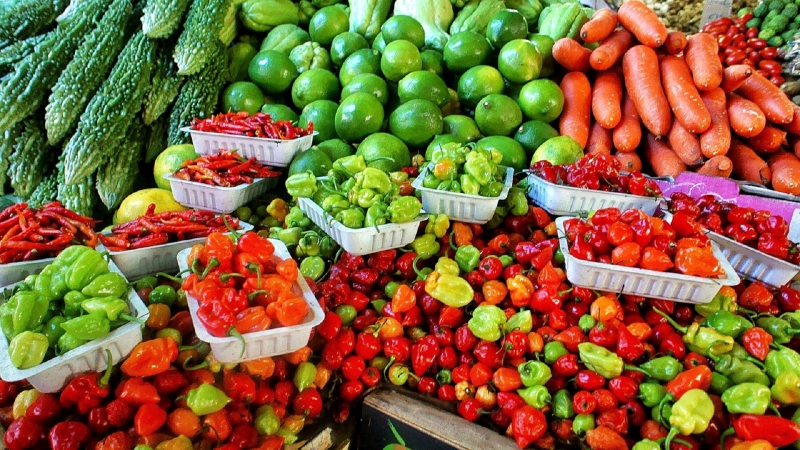 primeur-FREJUS-min_farmers-market-1329008